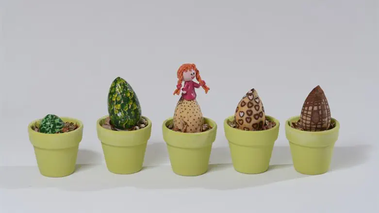 עציצים להצמחת חלומות