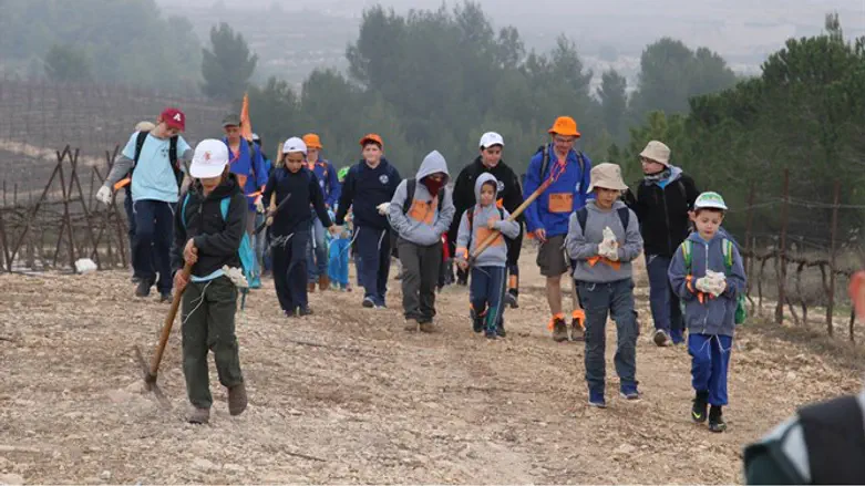 נטיעות ט"ו בשבט