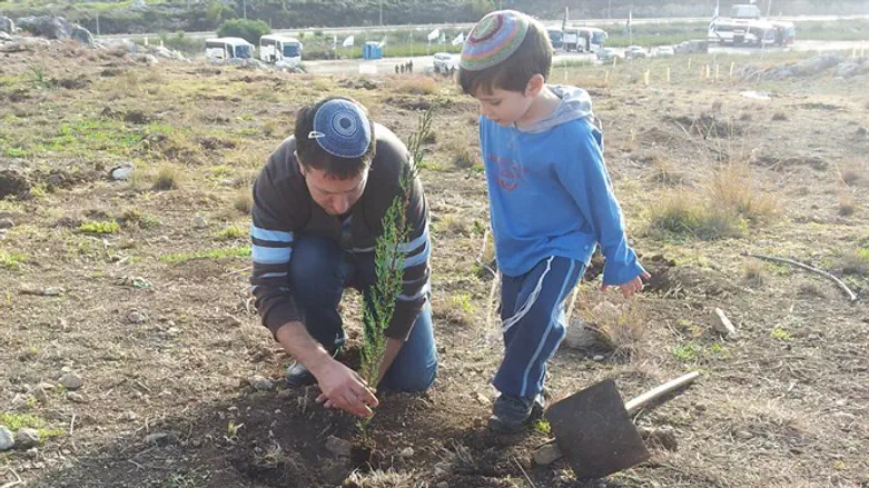 Ту би-Шват – новый год деревьев