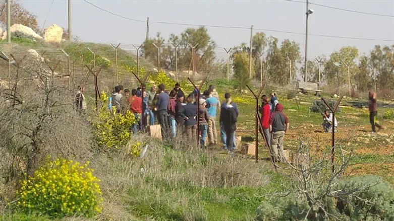 ליד היישוב כרמל