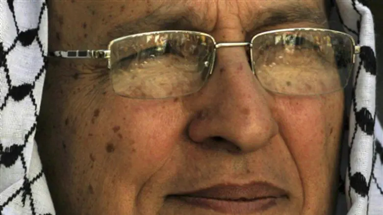 Набиль Шаат