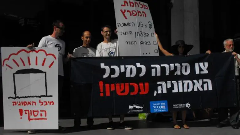 מפגינים לסגירת המיכל