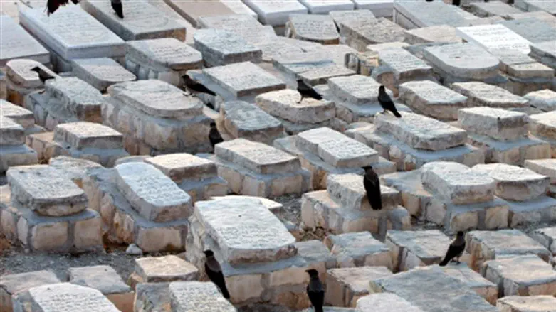 אילוסטרציה