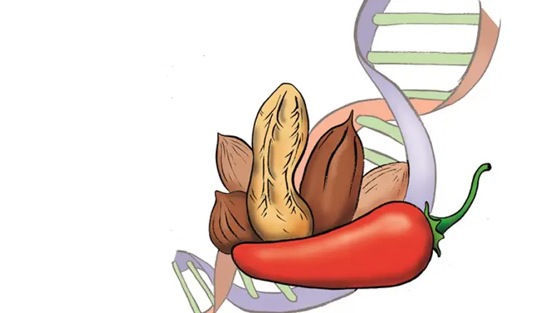 ריבונו של עולם הטביע בפירות ובירקות שלל ויטמינים במינון המדויק ביותר.