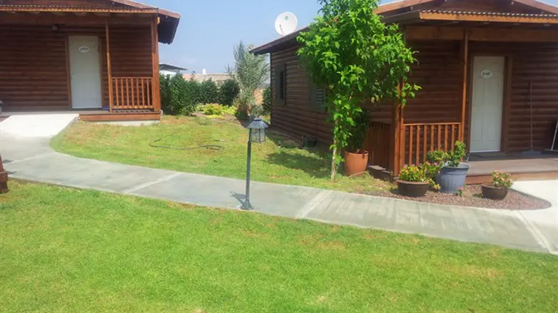 עליה בתיירות