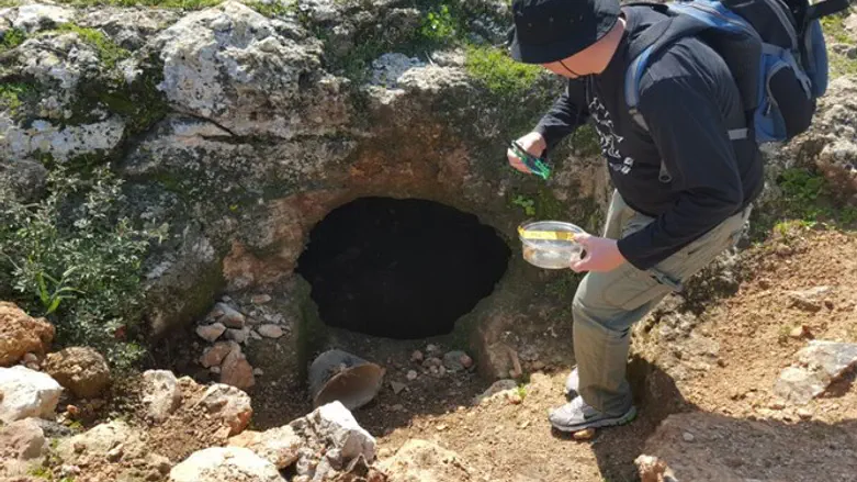 עירנות המטיילים התגלתה כחשובה ביותר