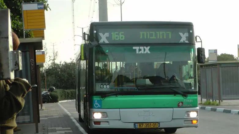 הפרה שיטתית? אילוסטרציה