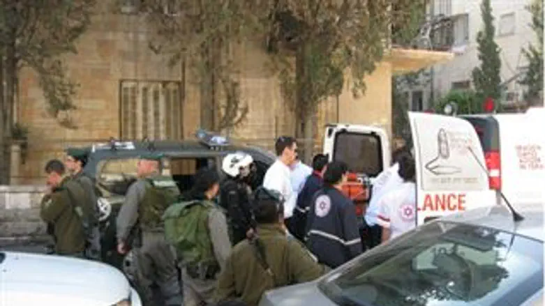 שבטי  ישראל הבוקר