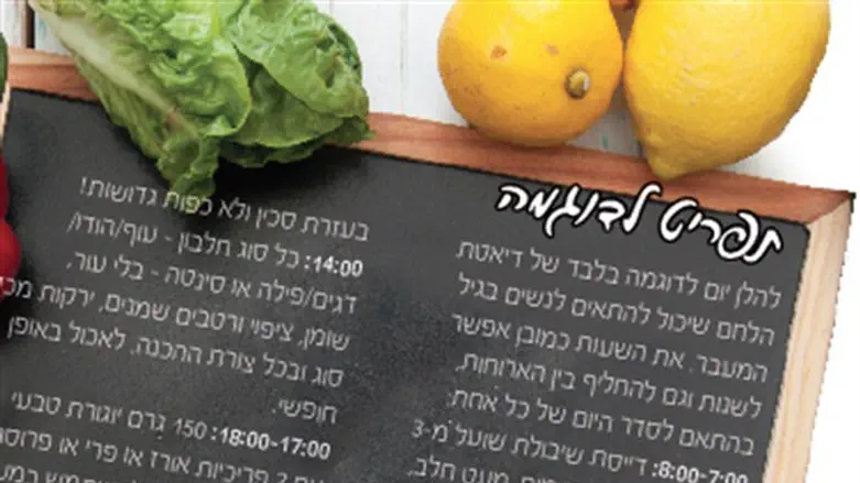 תפריט לדוגמה