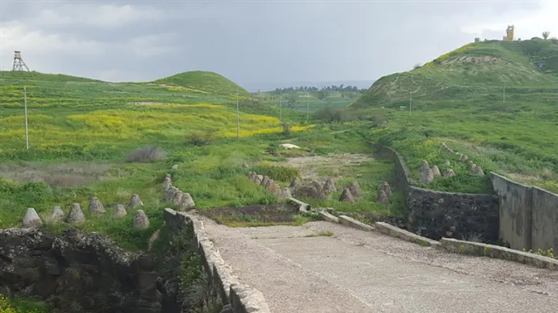 מצפור הצפרים