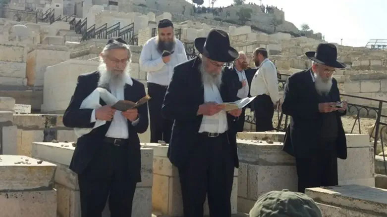 הרב מלמד והרב טאו הבוקר