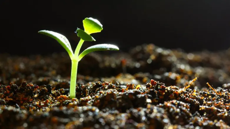 רגש חדש בשגרת החיים