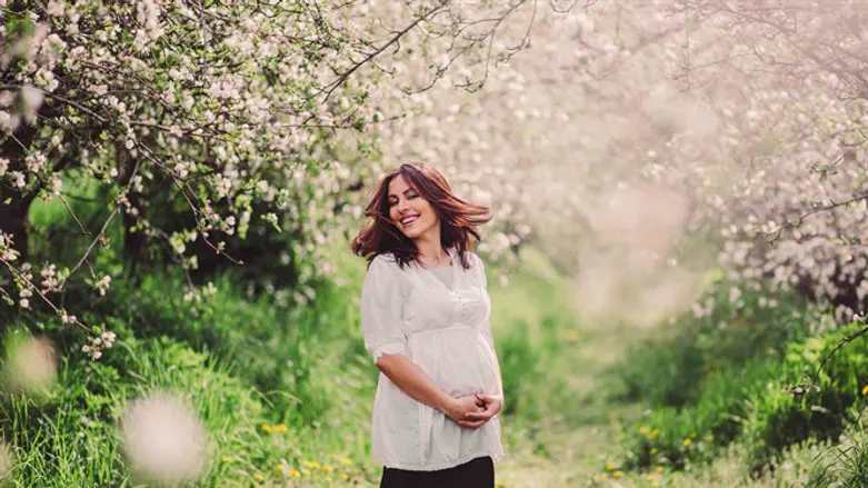 המרכיבים למצע חינוכי טוב