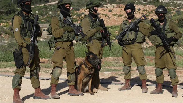 Бойцы подразделения "Окец". Иллюстрация