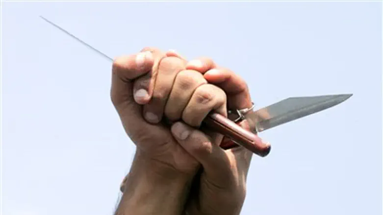 Knife (stock image)