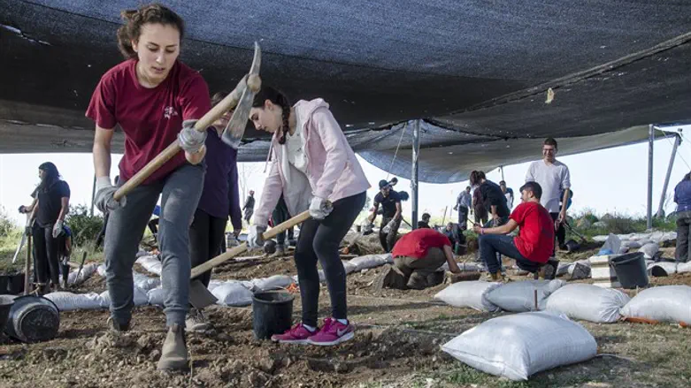 Students working at the archaeological dig