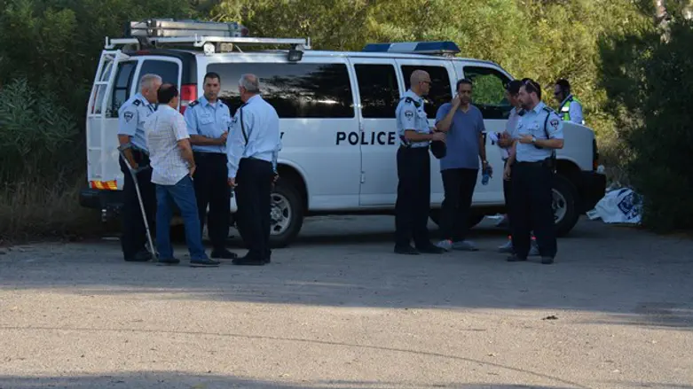 זירת רצח. ארכיון