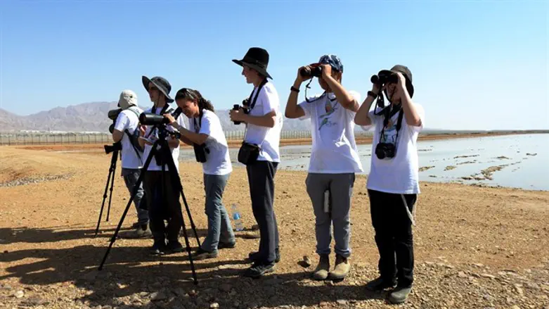 תחרות לזיהוי ציפורים