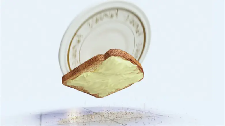 הכריכים מקבלים ציון נמוך