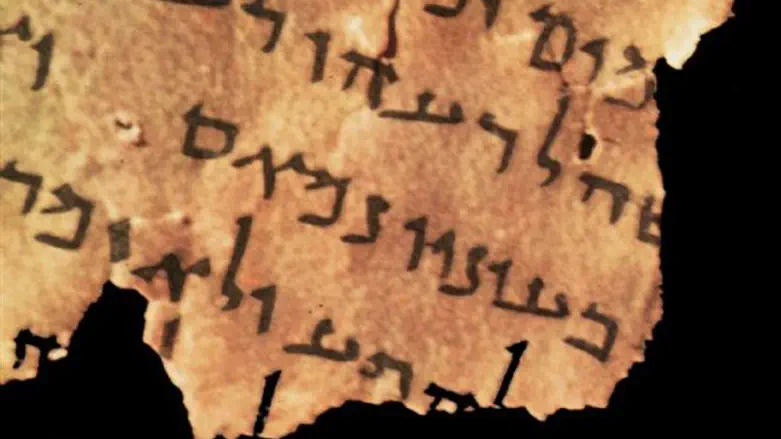 בין סיכוי לסיכון