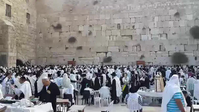 רחבת הכותל המערבי סוכות תשע"ה