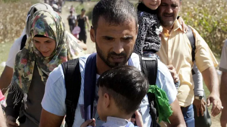 מהגרים, אילוסטרציה