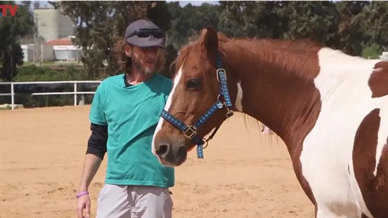 Israeli veterans use horses to combat PTSD