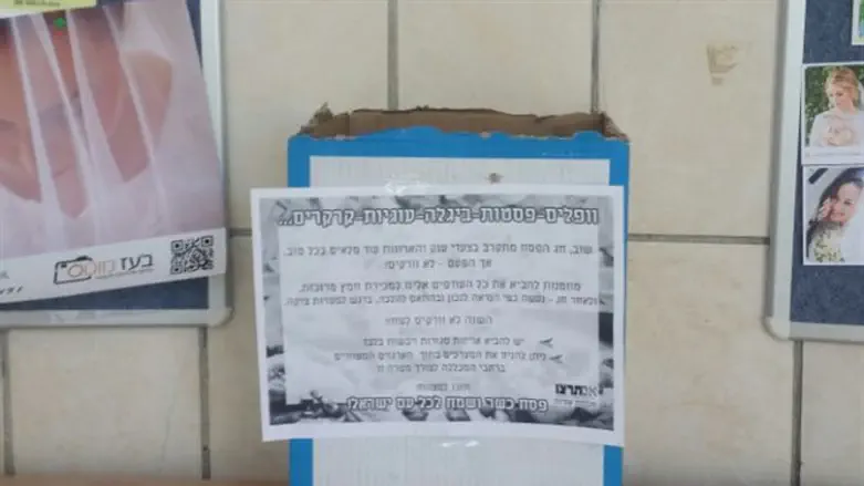 איסוף חמץ במכללת אורות