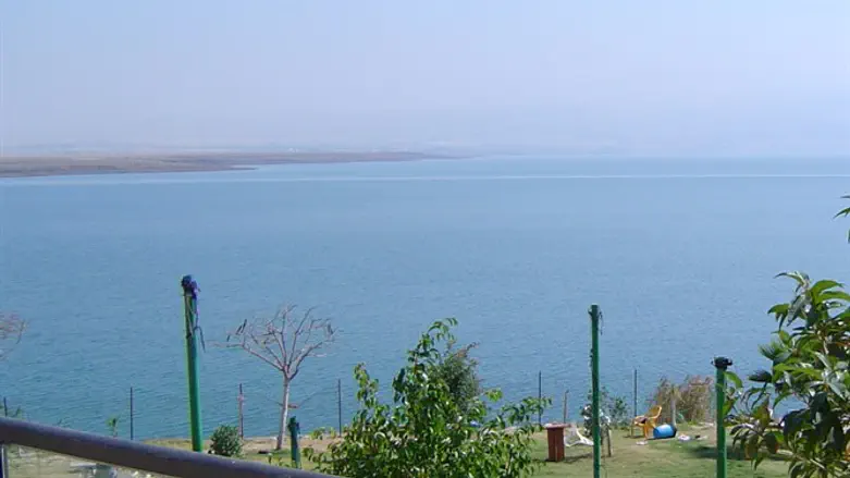 חופי ים המלח