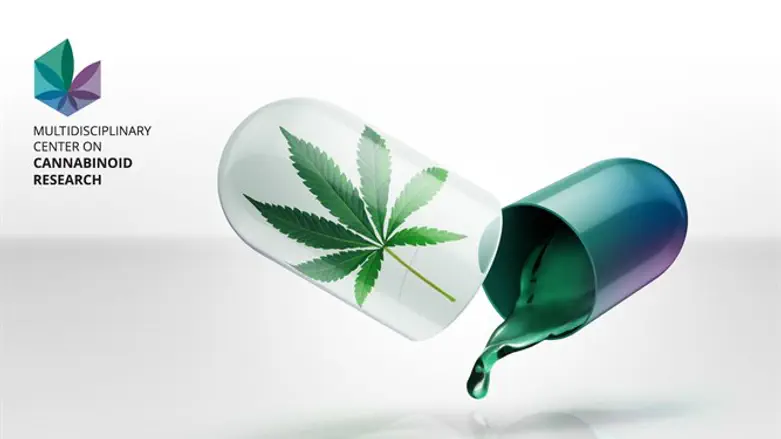 Hebrew University’s Multidisciplinary Center on Cannabinoid Research