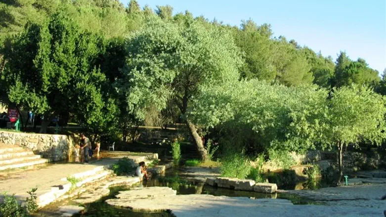 הוסר איום השביתה. גן לאומי עין חמד
