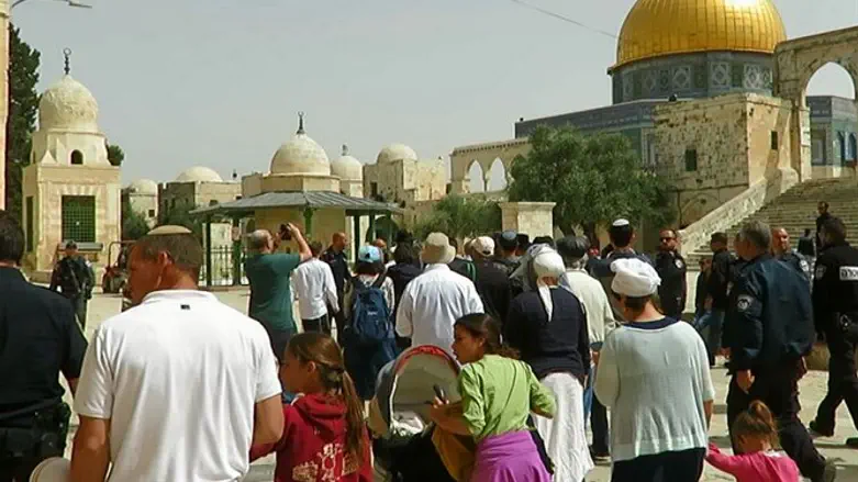 ממראות החג בהר הבית