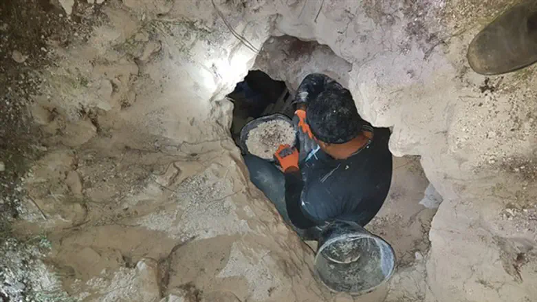 נתפסו על חם. שודדי עתיקות