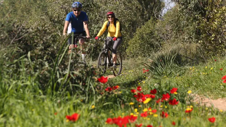 Israelis enjoy the sunshine (file)