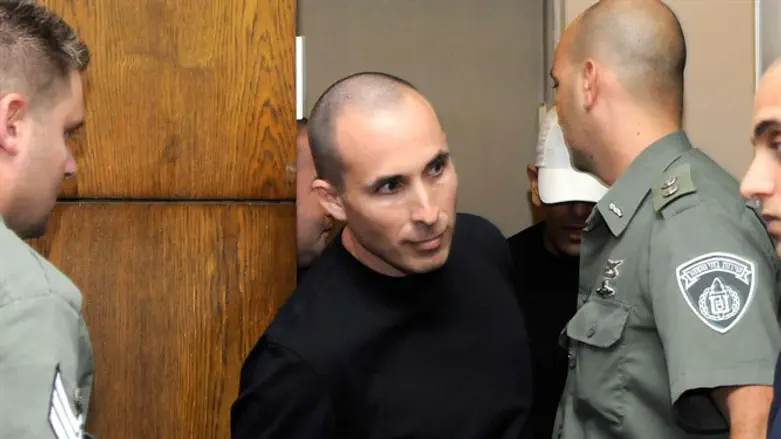 זוכה. עמיר מולנר