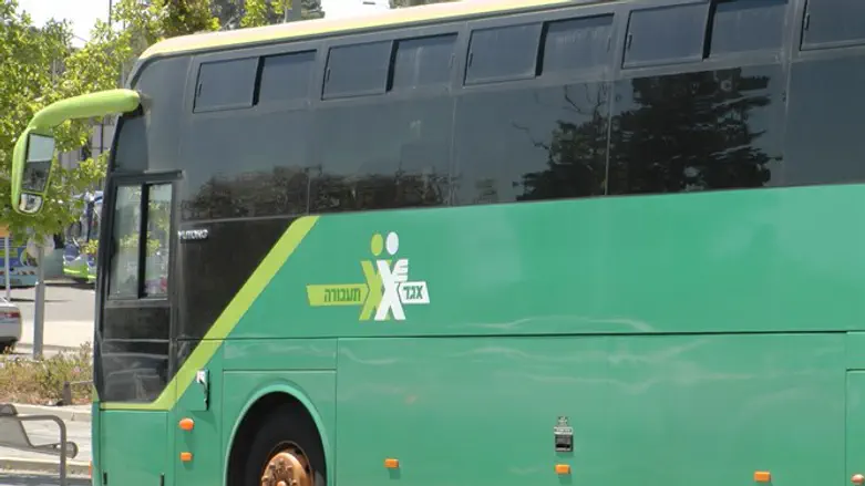 Egged bus (illustrative)