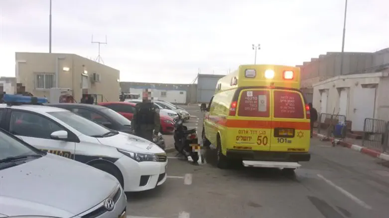 המחבלת טענה שהיא קצה בחייה. הפיגוע בקלנדיה