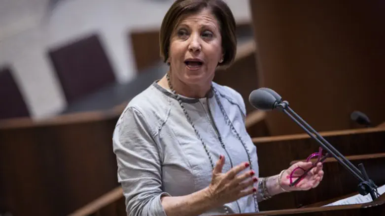 Meretz chief Zahava Galon speaks in the Knesset