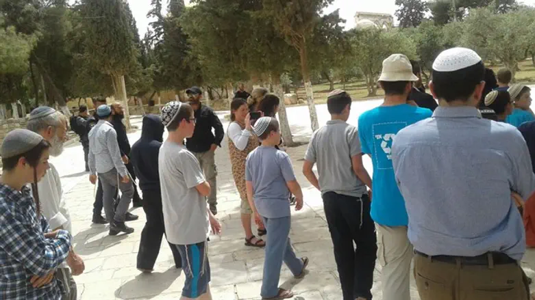 העולים להר היום