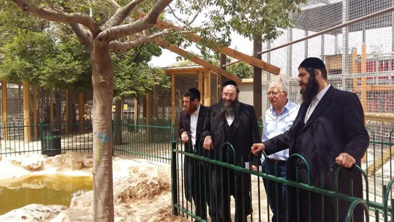 טרכטנברג באלעד