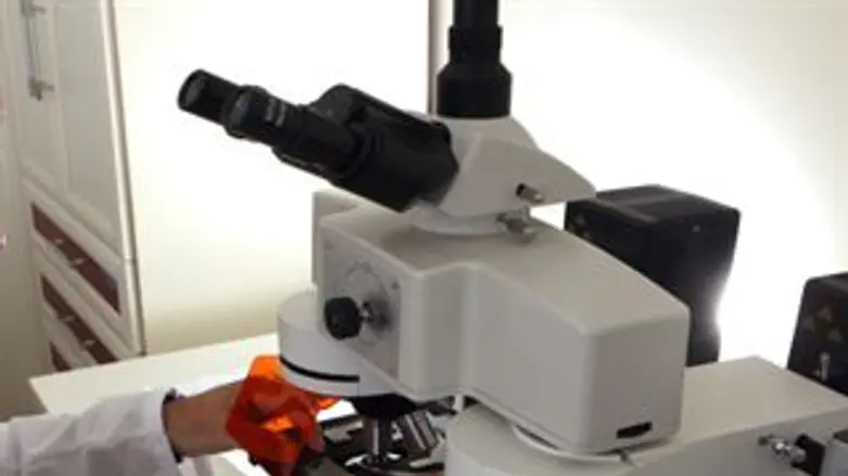 אילוסטרציה