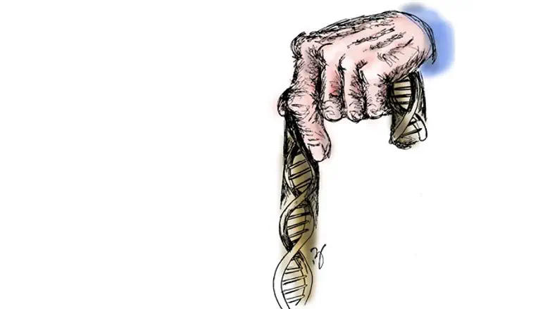 מה אומר הטלומר?