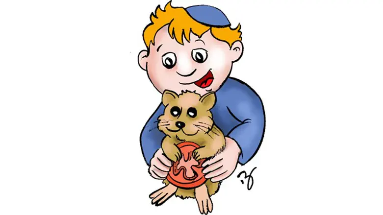 שרקנים ושאר ירקות