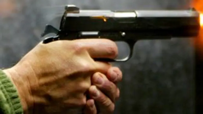 מי מוכר בדיזינגוף?