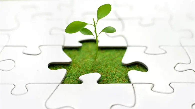 חודש שכולו אור