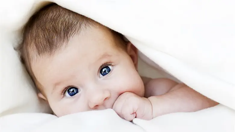 שיא של 37,270 טיפולי הפרייה