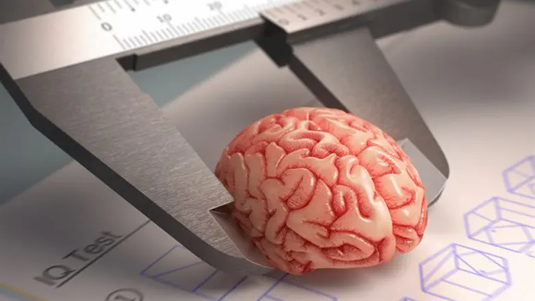 MK gauges colleague's intelligence