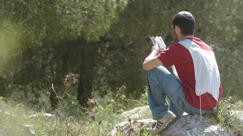 רק מעטים מהחוזרים בתשובה מצטרפים למגזר הדת"ל. אילוסטרציה