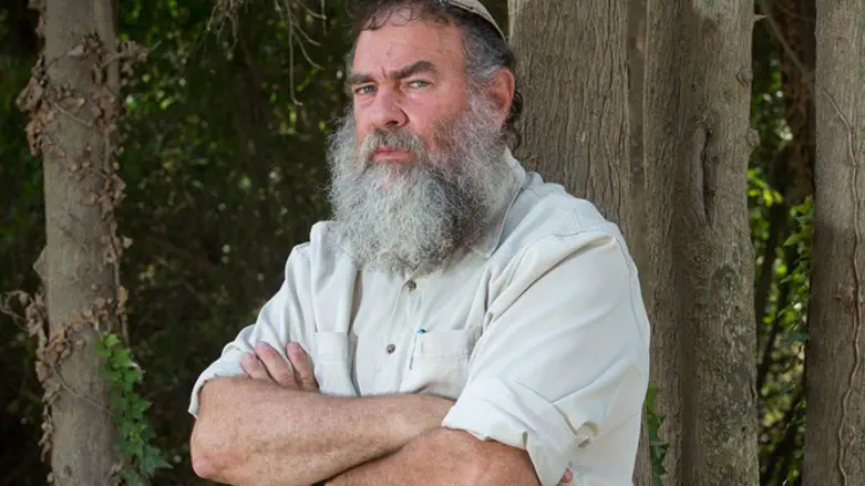 Шмуэль Мейдад