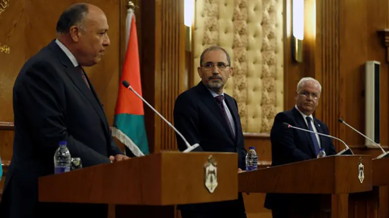 Shoukry, Safadi and Erekat